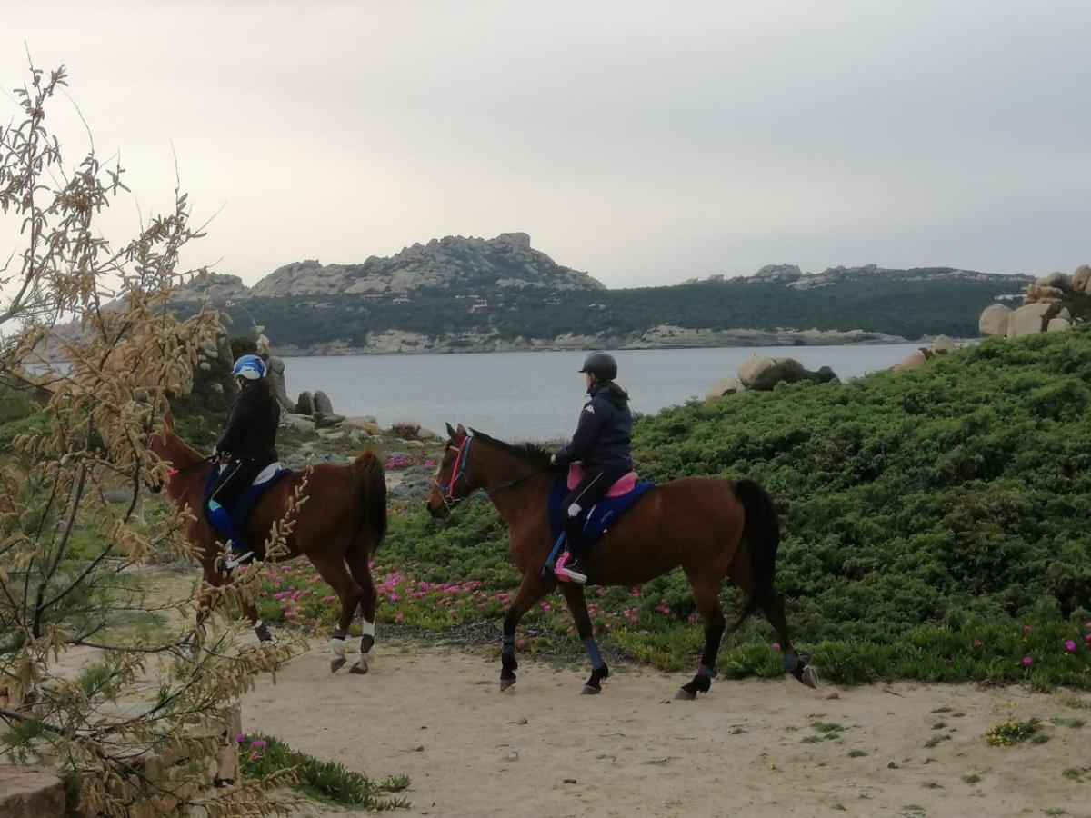 Casa Baia Santa Reparata - Santa Teresa Di Gallura Iun Q1712 エクステリア 写真